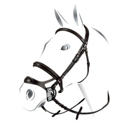 Testiera combinata Equestro