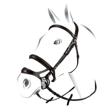 Testiera combinata Equestro