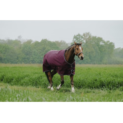 Coperta Equithème Tyrex 1200D
