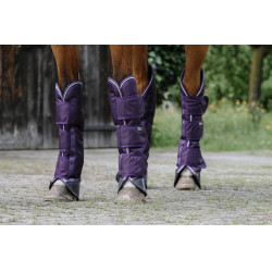 Ghette da trasporto Equithème Tyrex 600D Prugna Viola Ghette da trasporto Equithème Tyrex 600D Prugna Viola
