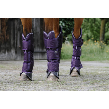 Ghette da trasporto Equithème Tyrex 600D Prugna Viola Ghette da trasporto Equithème Tyrex 600D Prugna Viola