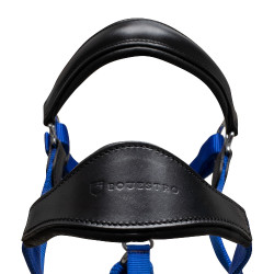 Capezzina ergonomica con inserti in pelle Lani Equestro Nero / royal