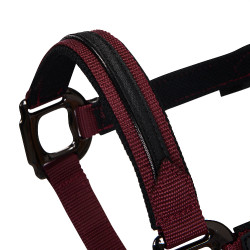 Licol en nylon avec longe Elegance Equestro Bordeaux