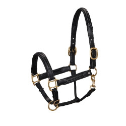 Capezzina in cuoio superiore Equestro