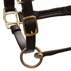 Capezzina in cuoio superiore Equestro Marrone scuro Capezzina in cuoio superiore Equestro Marrone scuro