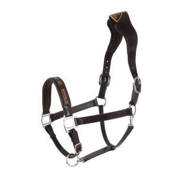 Capezzina in cuoio con protezione ergonomica in vitello Acavallo Marrone scuro