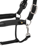 Capezzina in cuoio con inserti in nylon intrecciato Equestro Nero / grigio Capezzina in cuoio con inserti in nylon intrecciato Equestro Nero / grigio