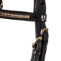 Briglia inglese in cuoio clincher senza redini Equestro Marrone scuro