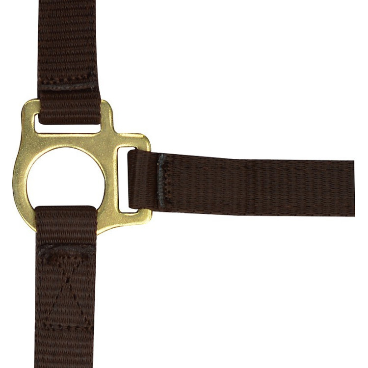 Capestro in nylon per puledro