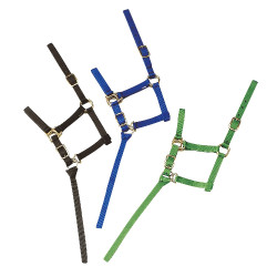 Capestro in nylon per puledro Capestro in nylon per puledro