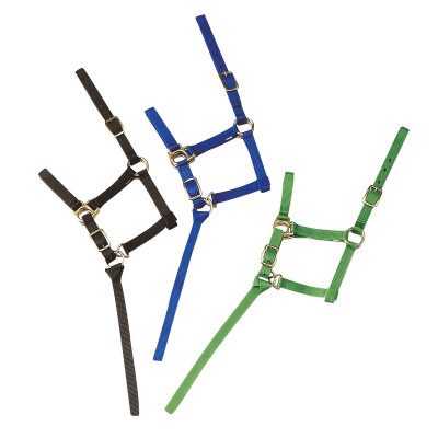 Capestro in nylon per puledro
