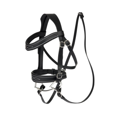 Briglia da concorso LeMieux per Hobby Horse Briglia da concorso LeMieux per Hobby Horse