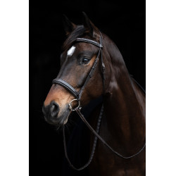 Bridon Hunter 2 HKM Marrone scuro