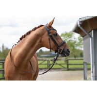 Bridon Ira HKM Marrone Bridon Ira HKM Marrone