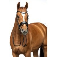 Bridon Ira HKM Marrone