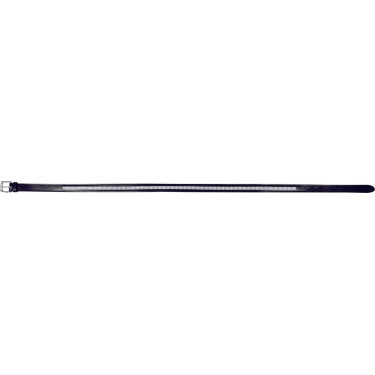 Cintura Riding World Diamond Cintura Riding World Diamond