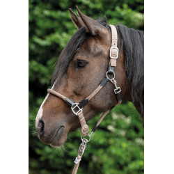 Capezzina Carlotta HKM Capezzina Carlotta HKM