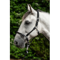 Capezzina Carlotta HKM Talpa Marrone Capezzina Carlotta HKM Talpa Marrone