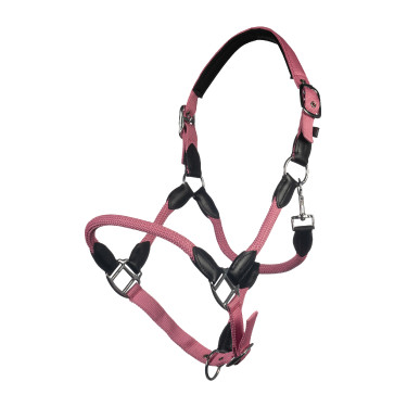 Capezzina Carlotta HKM Rosa Capezzina Carlotta HKM Rosa