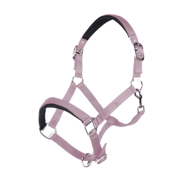 Capezzina Catherine HKM Capezzina Catherine HKM