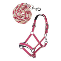 Set de licol mousqueton Kopenhagen HKM