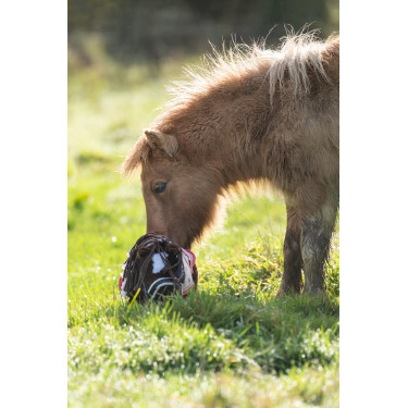 Set stellare Cuddle Pony HKM Rose stelle Set stellare Cuddle Pony HKM Rose stelle