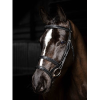 Briglia doppia con doppio capezzone LeMieux Kudos Nero / argento