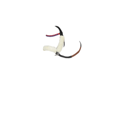 Set di testiera da corsa LeMieux per pony giocattolo Mini Set di testiera da corsa LeMieux per pony giocattolo Mini