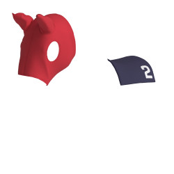 Tapis et masque en lycra LeMieux pour jouet Mini Poney