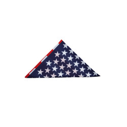Bandana con motivo bandiera USA o Confederata Pool's Bandana con motivo bandiera USA o Confederata Pool's