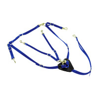 Pettorale in Biothane con martingala Lakota Blu reale
