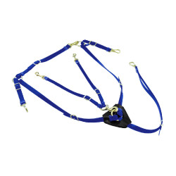 Pettorale in Biothane con martingala Lakota Blu reale