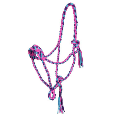 Gevlochten Nylon Halster Pool's Rosa / azzurro / viola Multicolore