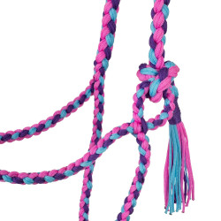 Gevlochten Nylon Halster Pool's Rosa / azzurro / viola Multicolore