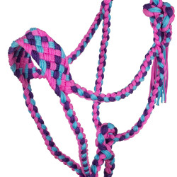 Gevlochten Nylon Halster Pool's Rosa / azzurro / viola Multicolore