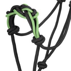 Capestro con Corda Intrecciata sul Naso Pool's Nero / limone