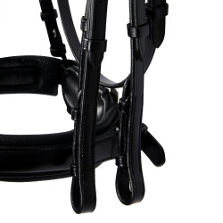 Briglia Evolution in Pelle senza Redini Doppie Equestro Nero