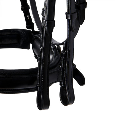 Briglia Evolution in Pelle senza Redini Doppie Equestro Nero