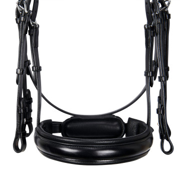 Briglia Evolution in Pelle senza Redini Doppie Equestro Nero