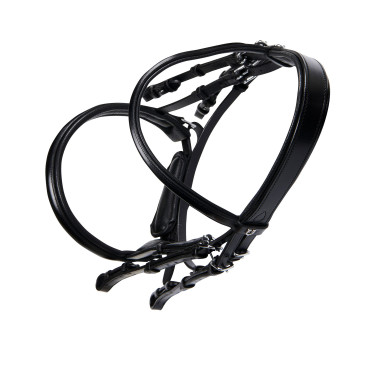 Briglia Evolution in Pelle senza Redini Doppie Equestro Nero