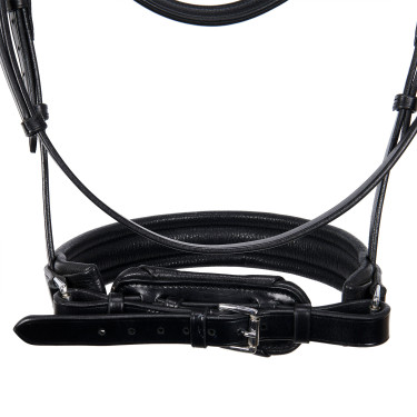 Briglia Evolution in Pelle senza Redini Doppie Equestro Nero