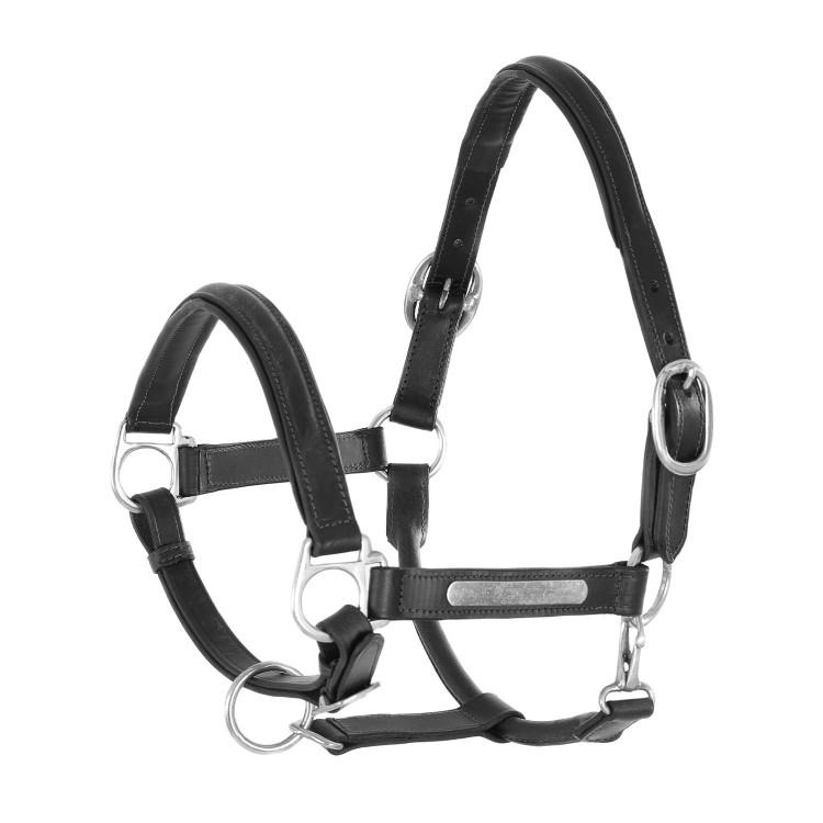 Capestro in Pelle Foderato con Fibbia in Ottone Umbria Equitazione Capestro in Pelle Foderato con Fibbia in Ottone Umbria Equitazione