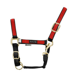 Capestro in Nylon con Parti Colorate Umbria Equitazione