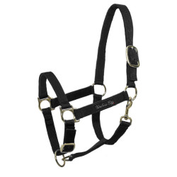 Capestro in Nylon con Rinforzo in Pelle Umbria Equitazione