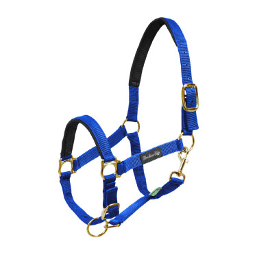 Capestro in nylon con rinforzo in neoprene Umbria Equitazione