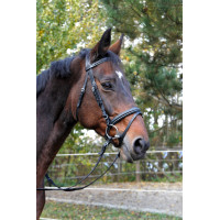 Briglia Classic nera in cuoio