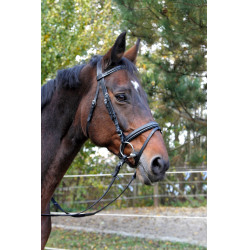 Briglia Classic nera in cuoio