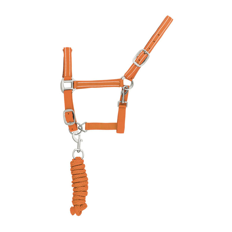 Capestro Sintetico con Longhina Riflettente Supreme Capestro Sintetico con Longhina Riflettente Supreme