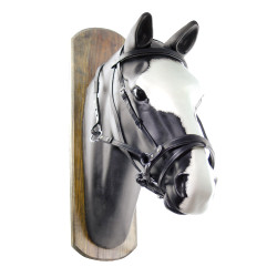 Briglia Senza Morso Horse Ball con Redini Umbria Equitazione