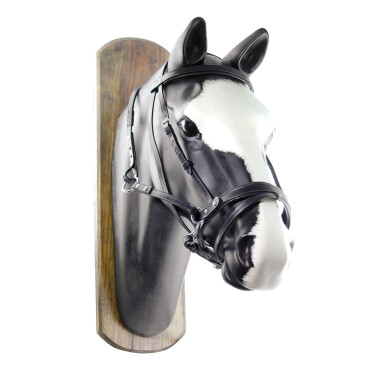 Briglia Senza Morso Horse Ball con Redini Umbria Equitazione